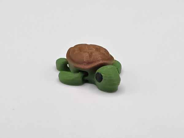 Tiny Turtle Tingy
