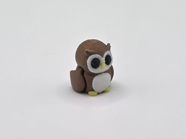 Tiny Owl Tingy